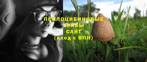 винт Козельск