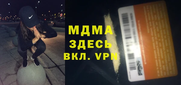 шишки Кодинск