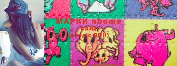 шишки Кодинск