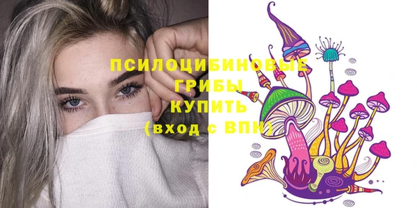 СК Кинешма