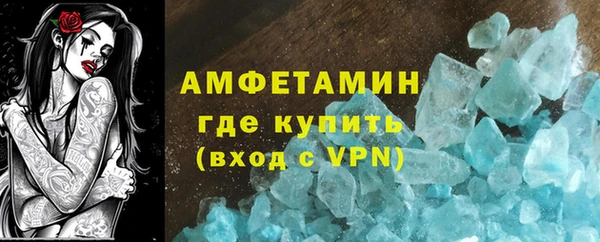 шишки Кодинск